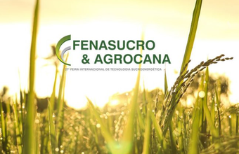 Mulheres no Agro: liderança feminina no setor é debatida na Fenasucro & Agrocana 2023