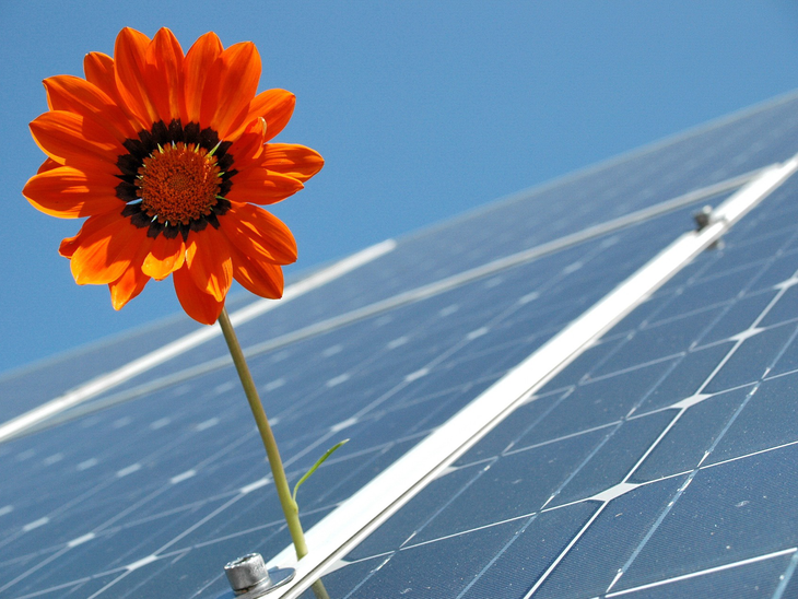 Energia solar atrai comércio e pequenos negócios
