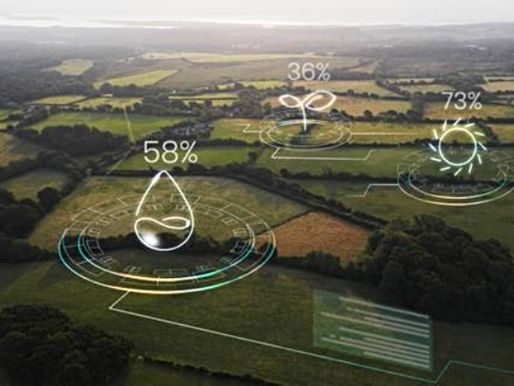 Treesales estreia na Fenasucro & Agrocana e integra debates sobre o futuro da bioenergia