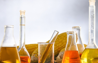 Produtores de etanol de cana investem em usinas híbridas para trabalhar também com milho durante a entressafra