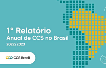 Confira seis pontos necessários para que o Brasil possa desenvolver as tecnologias de Captura e Armazenamento de Carbono (CCS)