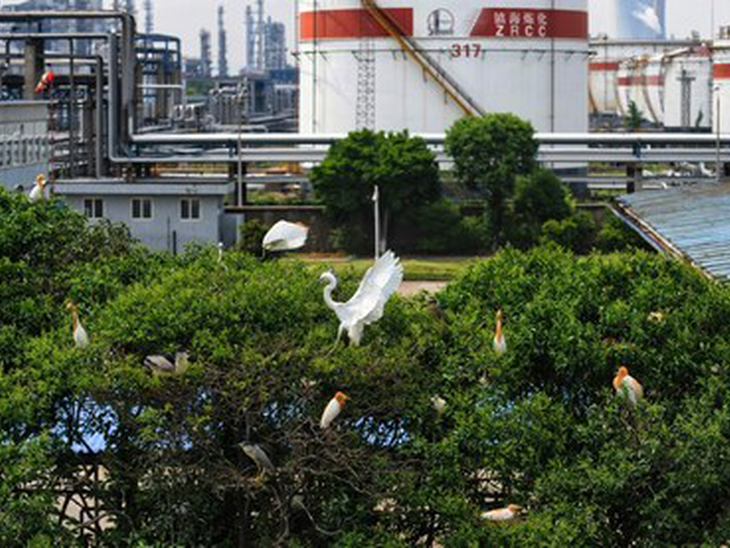 Sinopec Publica o "The Sinopec Green and Low-carbon Development White Paper 2022"