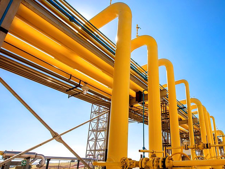 Workshop debate critérios para caracterização de gasodutos de transporte