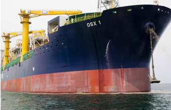 OGX recebe Licença de Operação para TLD de Waimea