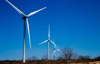 Recordes de geração de energia eólica seriam suficientes para abastecer mais de 90% da demanda elétrica no Nordeste