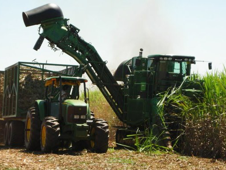 Projeto de Lei que assegura direitos dos produtores de cana aos CBIos é aprovado na Câmara e segue para Senado