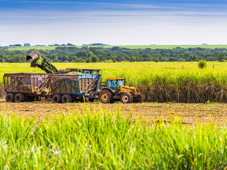 O estado de São Paulo é o maior produtor de cana e etanol e o segundo maior produtor de gás do Brasil