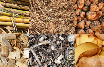 Bioeletricidade brasileira poderia abastecer quase dois Paraguais 