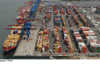 Banco Mundial injetará US$ 97 milhões no Porto de Santos
