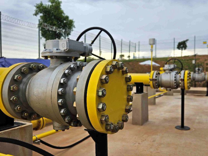 Gasmig encerra 2025 com lucro líquido de R$ 515 milhões e investimentos de R$ 314 milhões