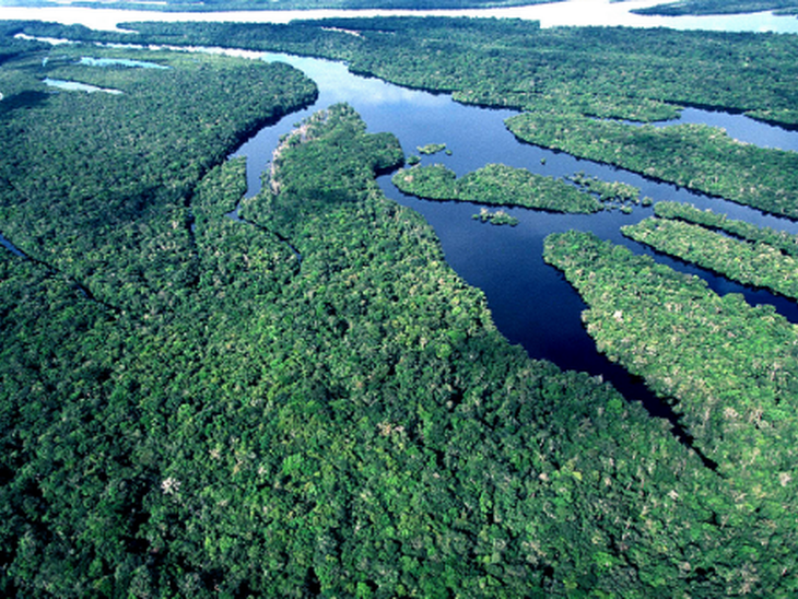 Recuperação de floresta tropical compensa 26% de emissões de carbono provocadas por desmate e degradação