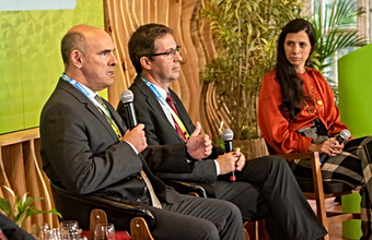 Debate sobre hidrogênio verde traz à tona os principais desafios para o mercado de créditos de carbono