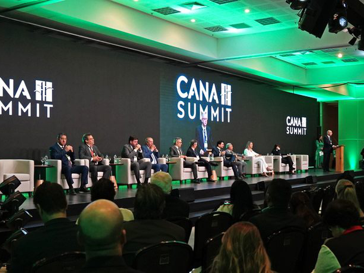 Juros elevados e crédito mais restrito colocam fluxo de investimentos na cana em debate