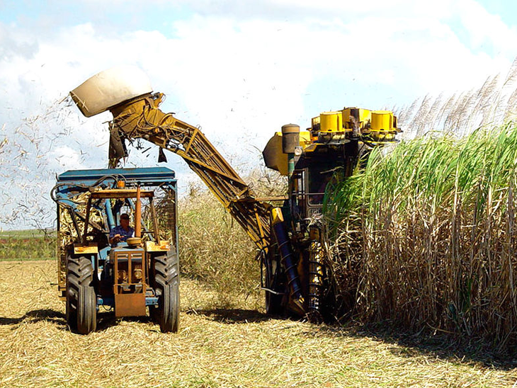 Governo lançará programa para dobrar produção de biocombustíveis  