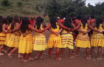 Mostra Ecofalante anuncia filmes selecionados na competição latino-americana e no concurso curta