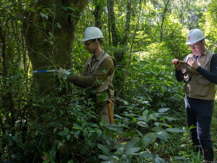 Copel conquista certificado de empresa sustentável na B3