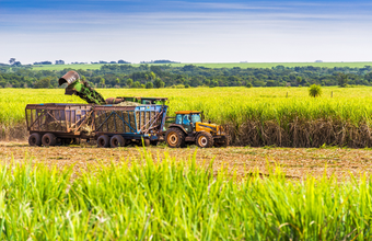Venda total de etanol sobe 15,89% na 1ª quinzena de maio; mercado interno cresce 19,98%  