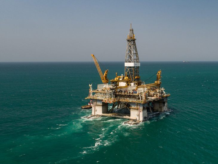 Constellation lança chamada para apoiar projetos inovadores de proteção da vida marinha