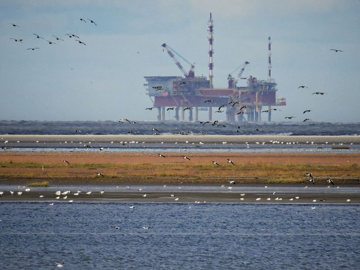 Petrobras, YPF e Ecopetrol com bônus denominados em dólares dão rendimento superior a 8% ao ano