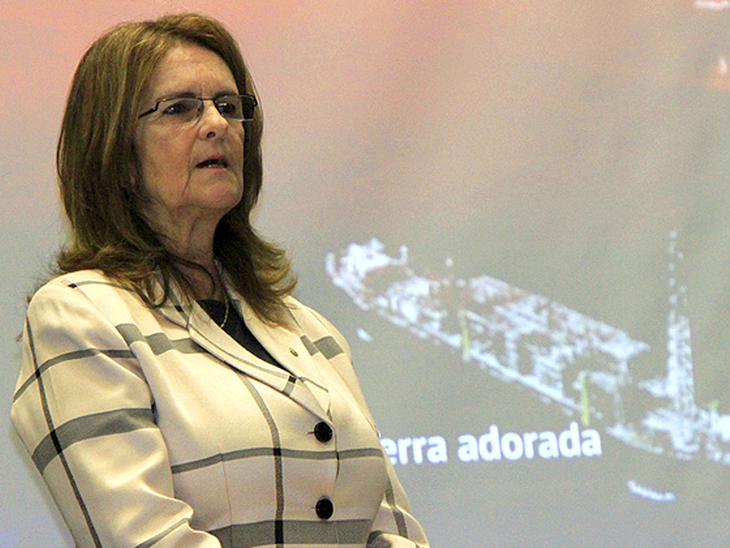 Preço da gasolina pode subir ainda em 2013