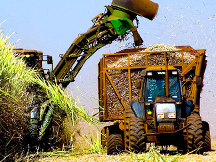 Comercialização e estocagem de álcool passam para o controle da ANP