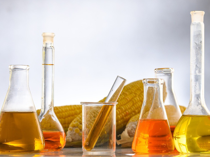 Produtores de etanol de cana investem em usinas híbridas para trabalhar também com milho durante a entressafra