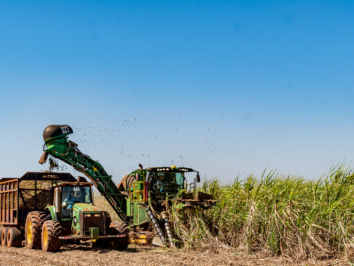 Atvos registra recordes históricos de moagem e produção de etanol em Mato Grosso do Sul