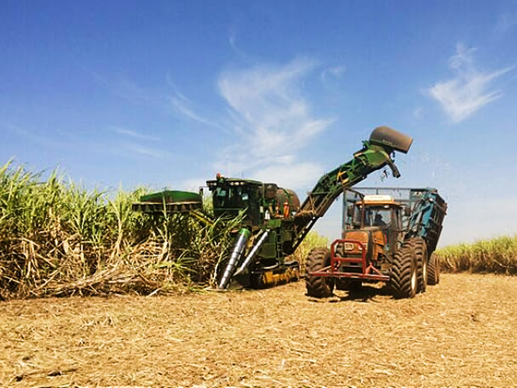 Indicadores Cepea mostram etanol hidratado em alta no mercado semanal e diário