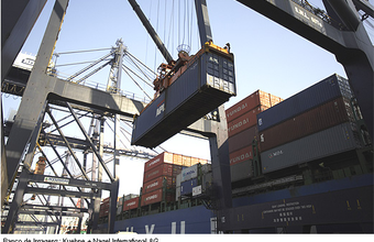 Kuehne + Nagel cria departamento para atender pequenas e médias