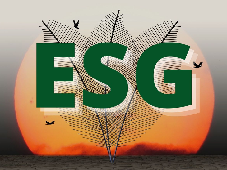 'Diálogos Petrobras Integridade & ESG' tem sucesso de público