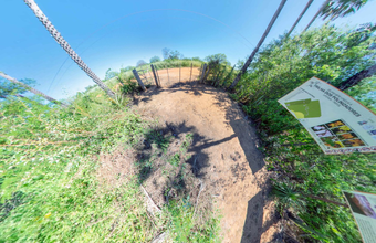 Petrobras utiliza realidade virtual para monitoramento e educação ambiental