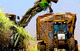 Comercialização e estocagem de álcool passam para o controle da ANP