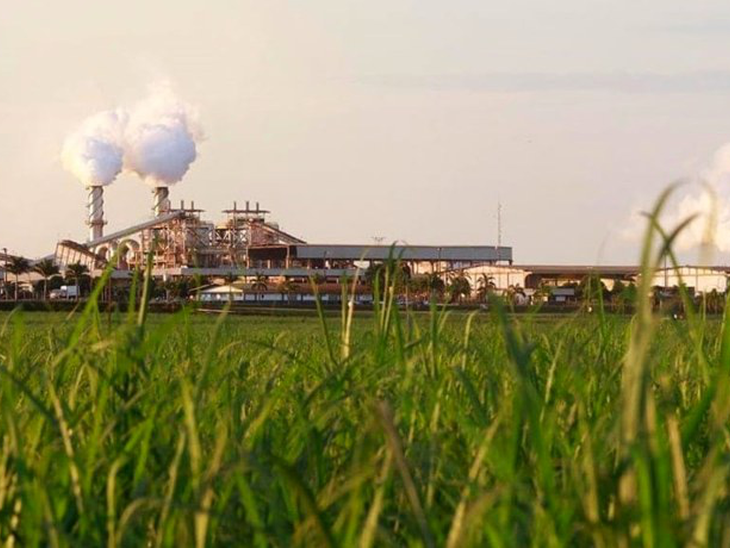 Usina São Martinho abre vagas para o Programa Estágio Administrativo