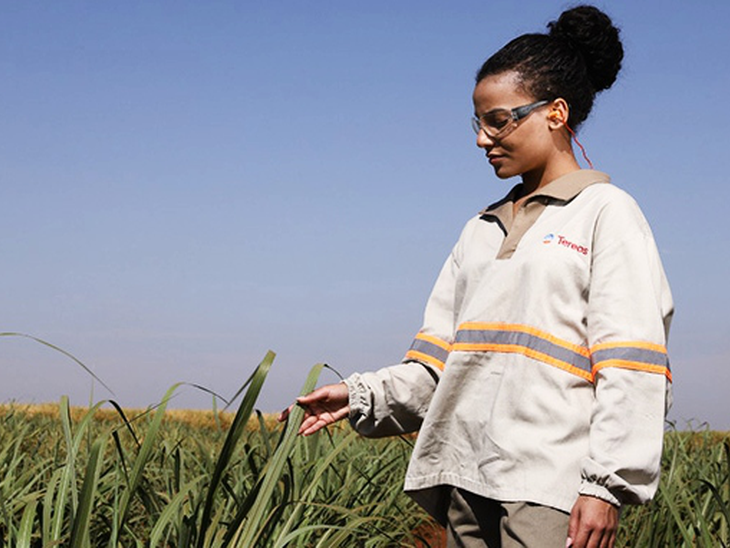 Tereos abre processo seletivo de jovens aprendizes exclusivo para mulheres