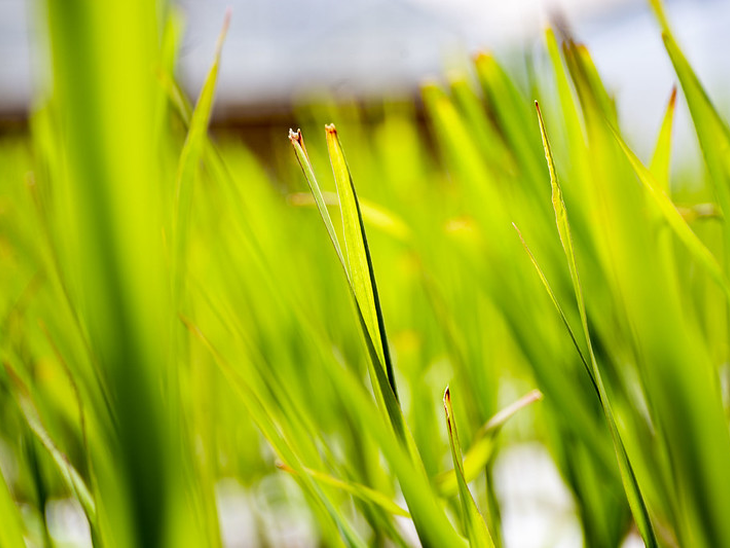 Venda de etanol pelos produtores do Centro-Sul segue aquecida no início de 2025