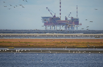 Petrobras, YPF e Ecopetrol com bônus denominados em dólares dão rendimento superior a 8% ao ano