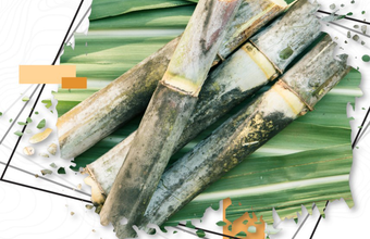 Tecnologia da Informação no Setor Sucroenergético Brasileiro será discutida na 4ª edição do Esalqshow