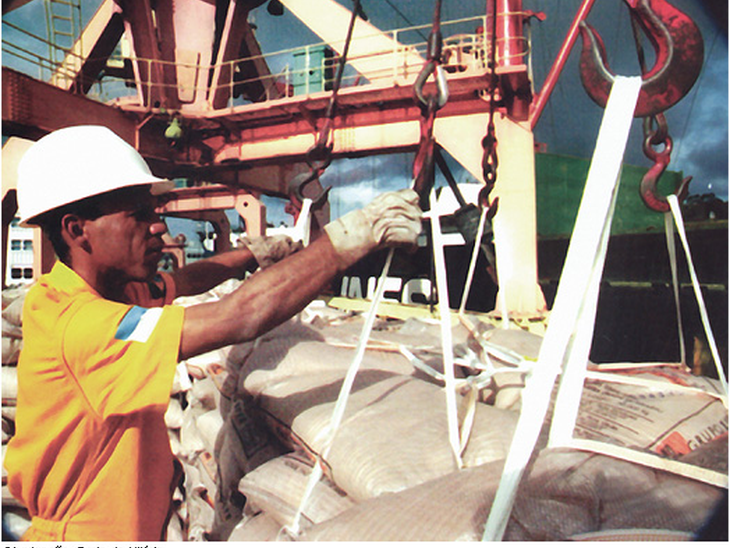 Brasil e Bélgica farão intercâmbio para formação de trabalhadores portuários