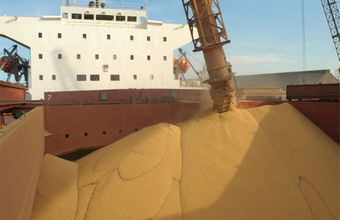 Exportações do agronegócio brasileiro movimentam US$ 9,8 bi em agosto