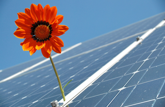 Energia solar atrai comércio e pequenos negócios