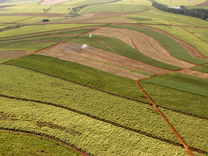 Petrobras aumenta produção de gasolina diante do baixo desenvolvimento das lavouras de cana