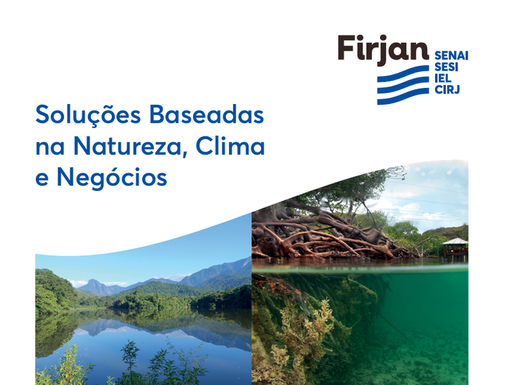 Soluções baseadas na Natureza: mitigar mudanças climáticas é destaque em estudo da Firjan
