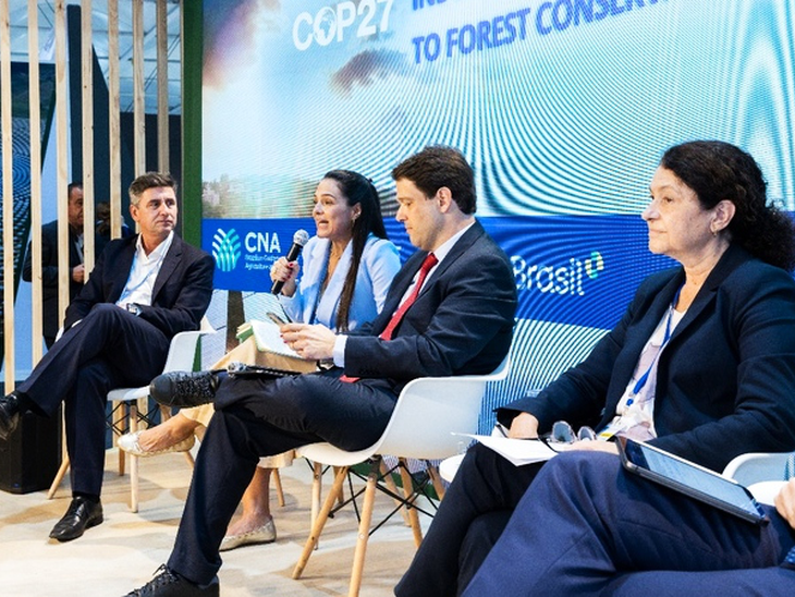 Papel da indústria na conservação das florestas é debatido em painel do estande do Brasil na COP27