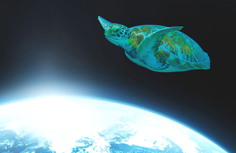 Braskem adere à Aliança global para combater descarte de resíduo plástico