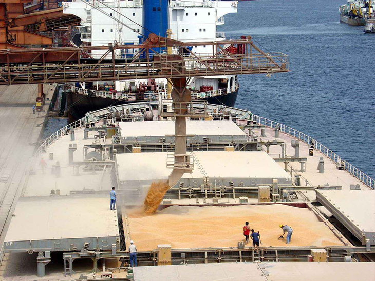Agronegócio brasileiro exportou US$ 96,8 bilhões em 2019