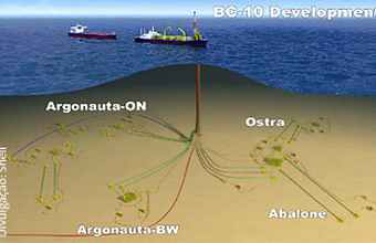 Shell inicia produção no parque das conchas