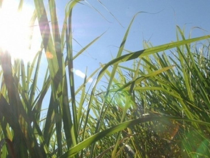 Rota aérea entre Estados Unidos e Brasil vai ficar mais sustentável