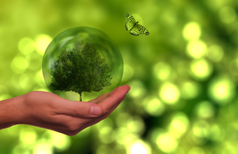 Começa amanhã (06/11) a COP 27