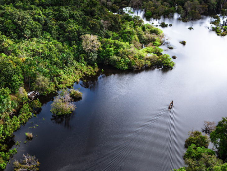 Durante a COP-27 projeto que conserva a Amazônia gerando renda para as comunidades locais será apresentado pela Petrobras