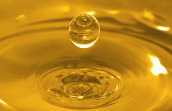 CNPE: diretrizes para o novo modelo de comercialização de biodiesel, por Bruno T. Belchior, Bárbara E. Leite e Leandro Duarte